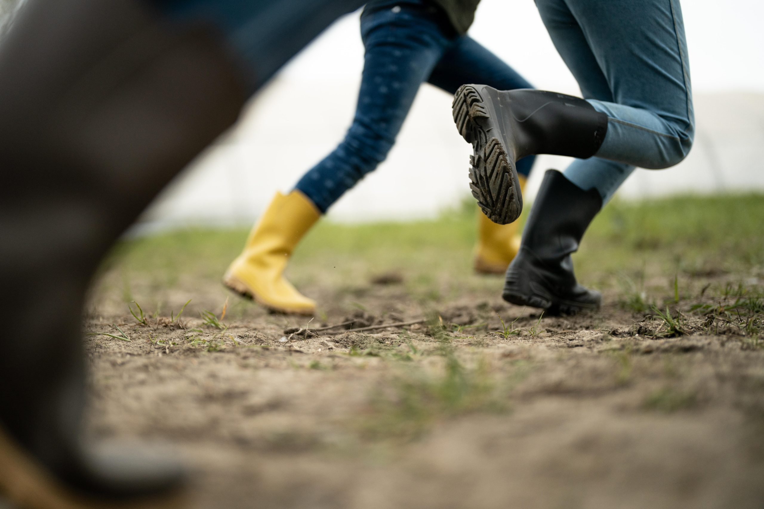 SOLOGNAC shop -SOLOGNAC shop 4.3 scaled