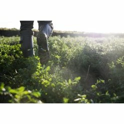 SOLOGNAC Rubberlaarzen Met Plooi 520 -SOLOGNAC shop rubberlaarzen met plooi 520 5